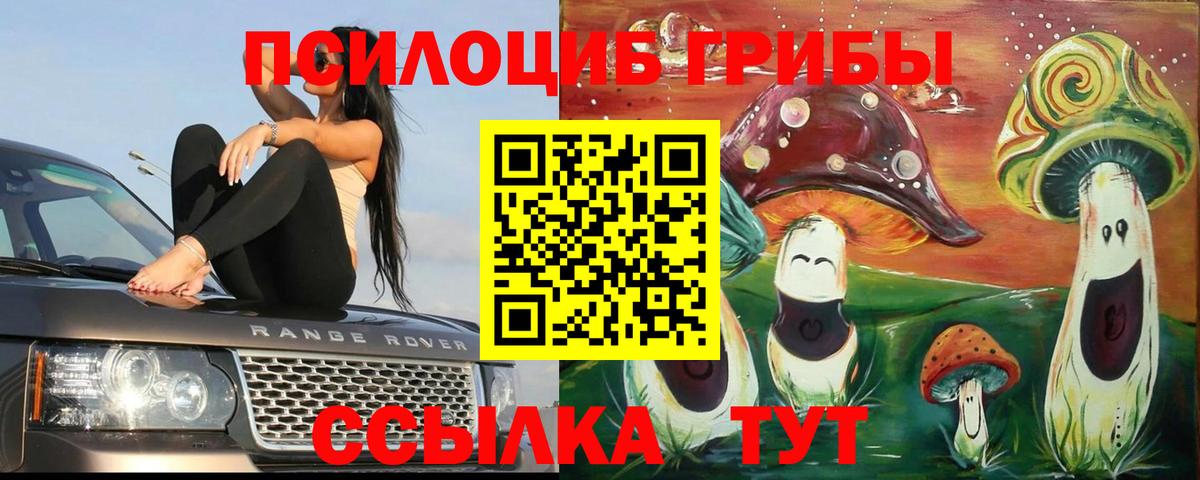 Чистополь  Псилоцибиновые грибы Cubensis  Псилоцибиновые грибы мухоморы  Вход с VPN 