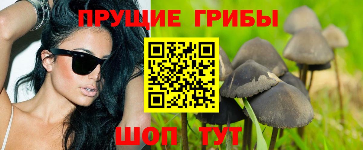 Псилоцибиновые грибы прущие грибы Чистополь